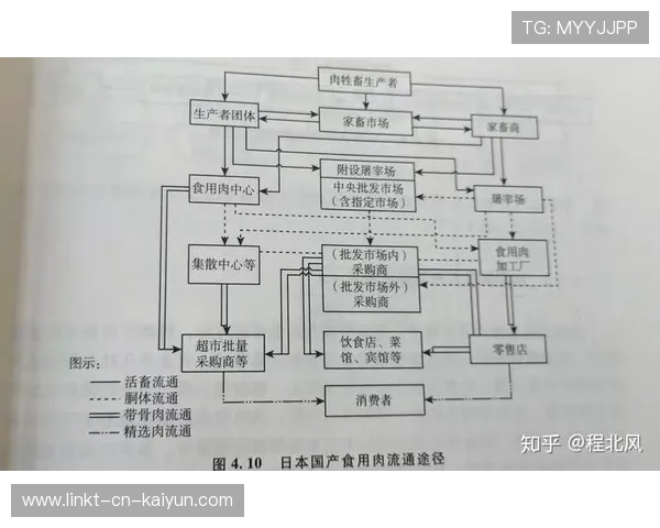 NBA球队夏季联赛数据挖掘与选秀决策支持 NBA球队夏季联赛数据挖掘与选秀决策支持